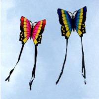 Cerf-volants