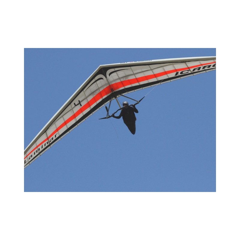"Projet VL6" - Laminar Z 2005