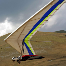 "Projet VL6" - Laminar Z 2005