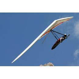 "Projet VL6" - Laminar Z 2005