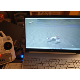 Simulateur de vol RC - Emetteur/cableUSB + CD