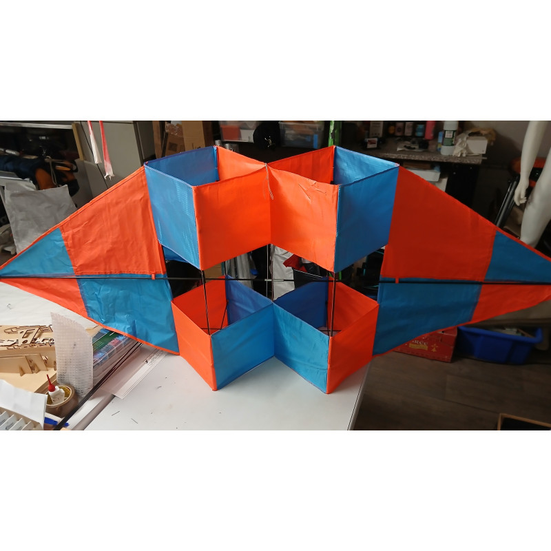 copy of Chouette bleue