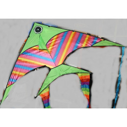 Poisson